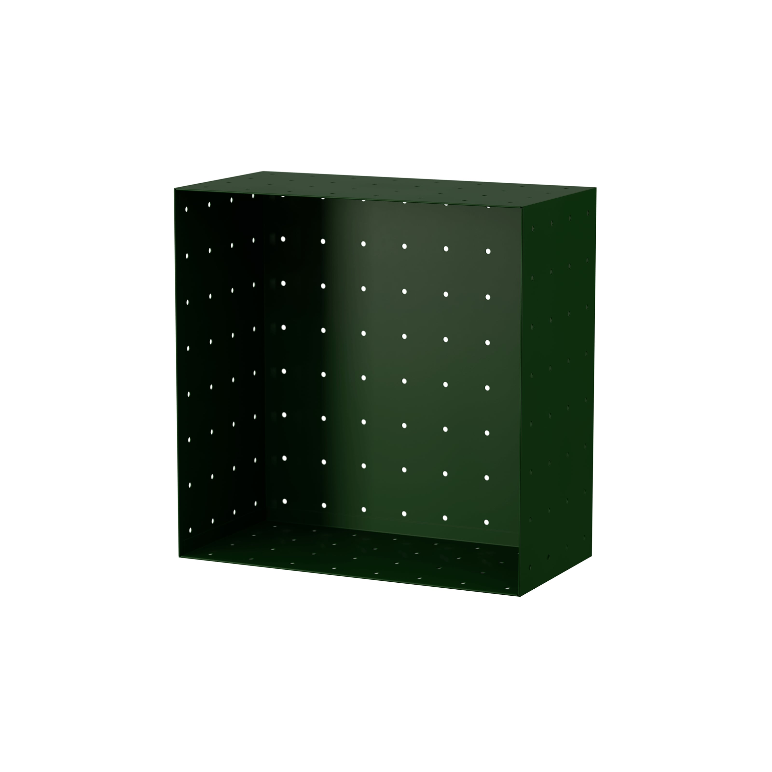 Tray w30 x d40 x h20 cm Chrome green RAL 6020