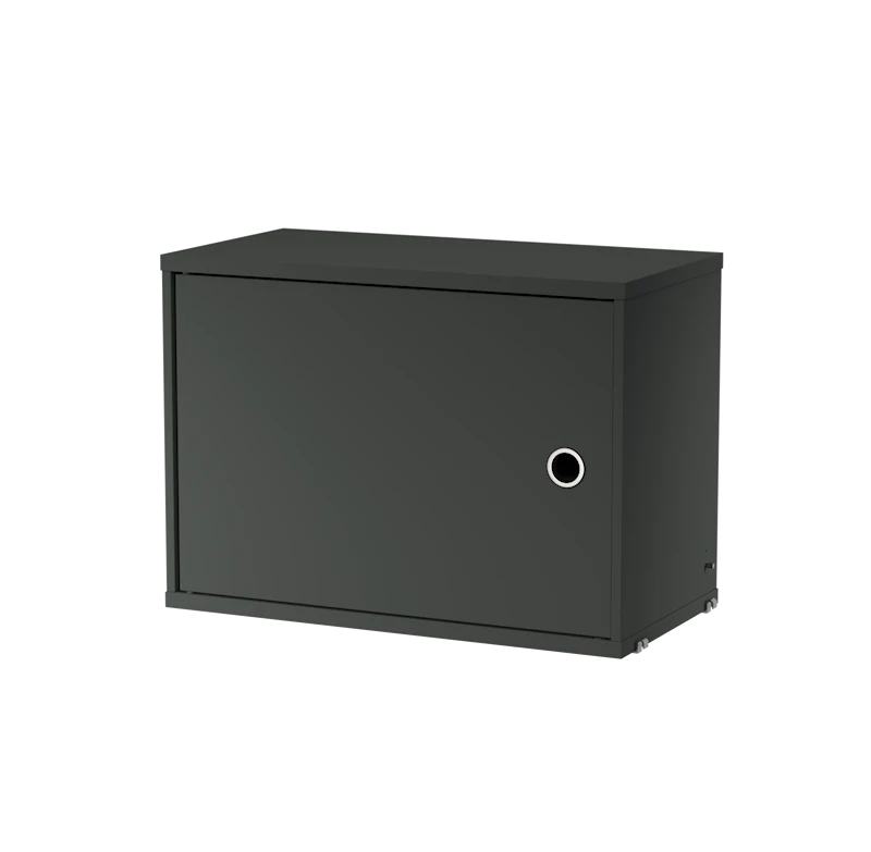 Cabinet with swing door