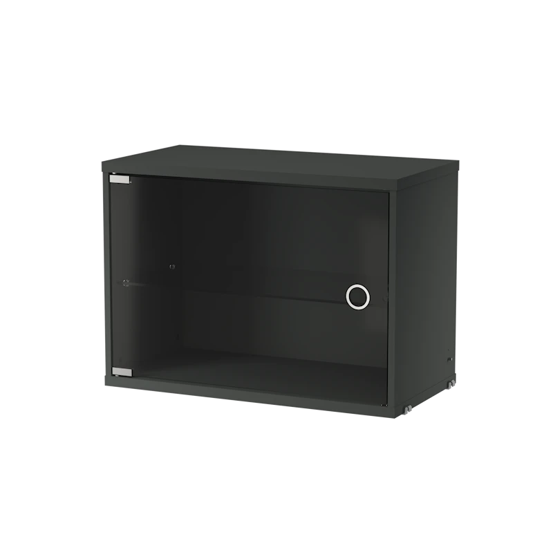 Display cabinet with swing glass door