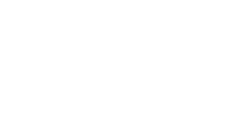 Cabinet with flip door