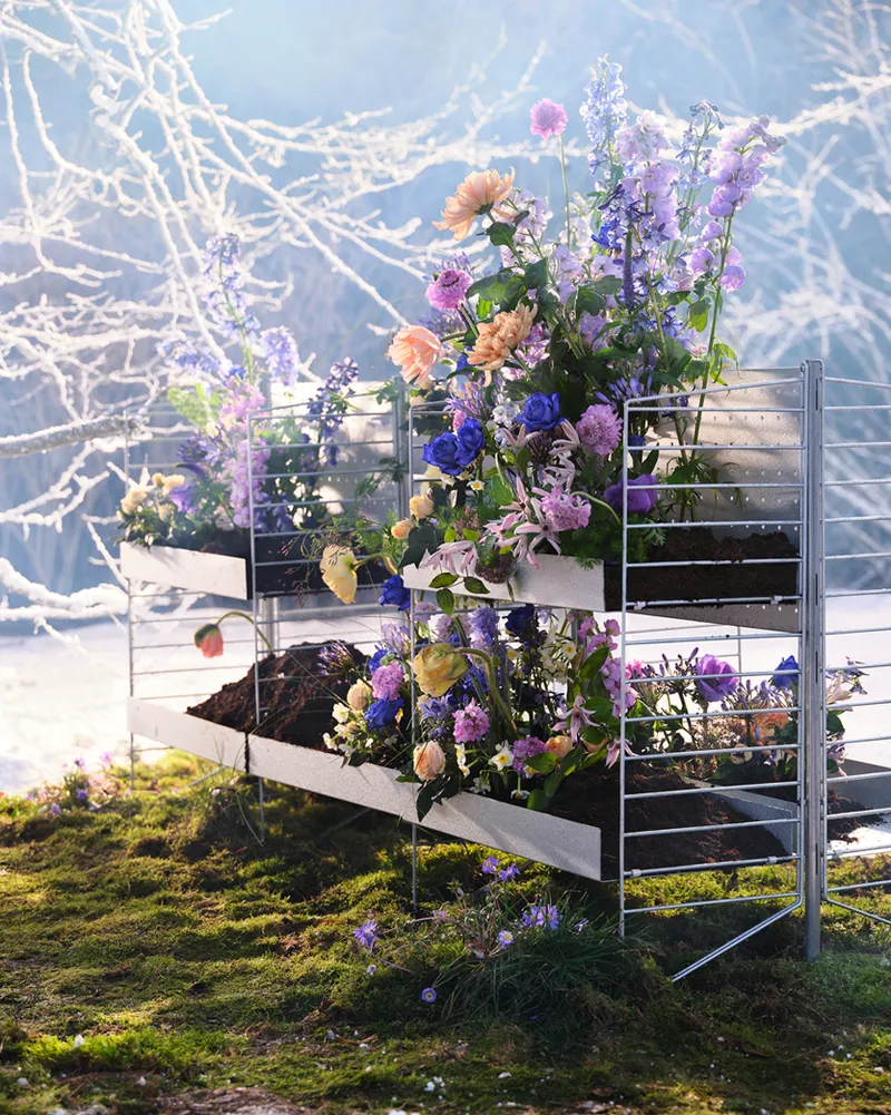 Curated image